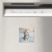 Maine Coon Kitten Magnet (In Situ (Geschirrspüler))