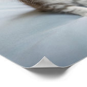 Maine Coon Kitten Poster (Ecke)