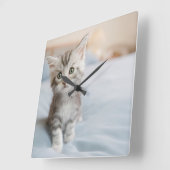 Maine Coon Kitten Quadratische Wanduhr (Winkel)