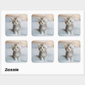 Maine Coon Kitten Quadratischer Aufkleber (Blatt)