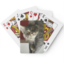 Maine Coon Kitten Spielkarten