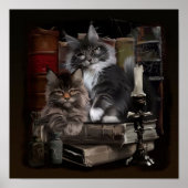 Maine Coon Kittens Poster (Vorne)