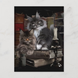 Maine Coon Kittens Postkarte