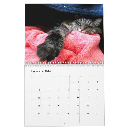 Maine Coon Kitty Cat Kalender (Jan 2026)