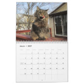 Maine Coon Kitty Cat Kalender (Mär 2027)