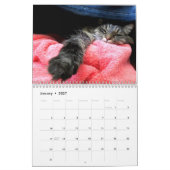 Maine Coon Kitty Cat Kalender (Jan 2027)