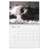 Maine Coon Kitty Cat Kalender (Feb 2027)