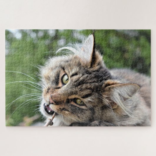 Maine Coon Kitty Cat Niedlich Fun Animal Puzzle (Horizontal)