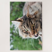 Maine Coon Kitty Cat Niedlich Fun Animal Puzzle (Vertikal)