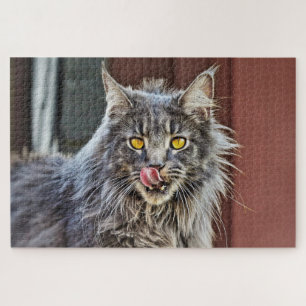 Maine Coon Kitty Cat Niedlich Fun Tier Puzzle