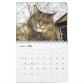 Maine Coon Kitty Cat Niedlich Kalender (Mär 2026)
