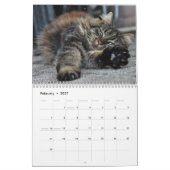 Maine Coon Kitty Cat Niedlich Kalender (Feb 2027)