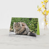 Maine Coon Kitty Cat Niedliche individuell anpassb Karte (Gelbe Blume)