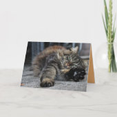 Maine Coon Kitty Cat Niedliche individuell anpassb Karte (Vorderseite)