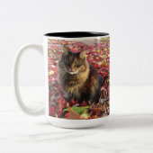 Maine Coon Kitty Cat Zweifarbige Tasse (Links)