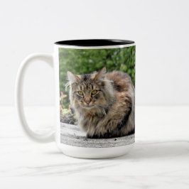 Maine Coon Kitty Cat Zweifarbige Tasse