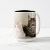 Maine Coon Kitty Cat Zweifarbige Tasse (VorderseiteRechts)
