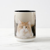 Maine Coon Kitty Cat Zweifarbige Tasse (Mittel)