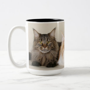 Maine Coon Kitty Cat Zweifarbige Tasse