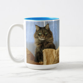 Maine Coon Kitty Cat Zweifarbige Tasse
