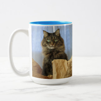 Maine Coon Kitty Cat Zweifarbige Tasse