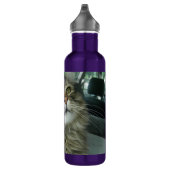 Maine Coon kitty Edelstahlflasche (Rechts)