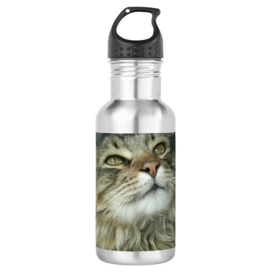 Maine Coon kitty Edelstahlflasche (Vorderseite)