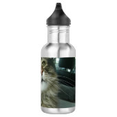Maine Coon kitty Edelstahlflasche (Rechts)