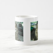 Maine Coon kitty Kaffeetasse (Mittel)