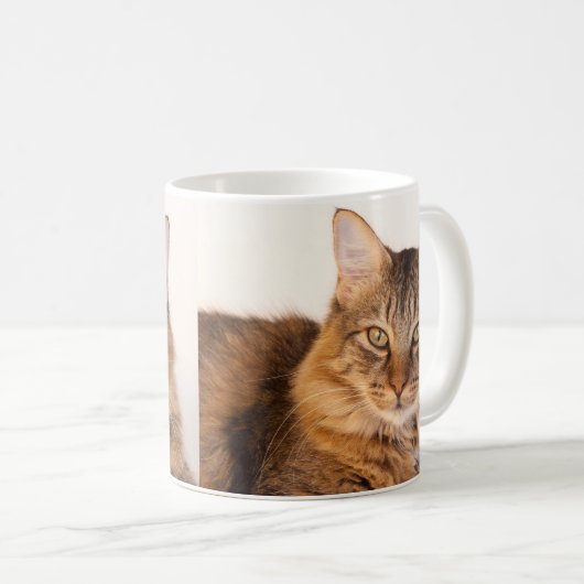 Maine Coon Kitty Kaffeetasse (VorderseiteRechts)