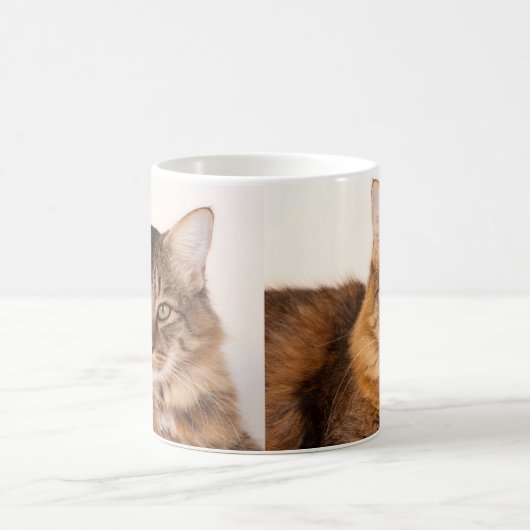 Maine Coon Kitty Kaffeetasse (Mittel)