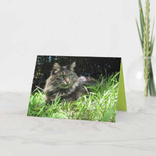 Maine Coon Kitty Katze Süße Personalisierbare Kart Karte