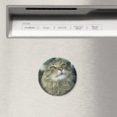 Maine Coon kitty Magnet (In Situ (Geschirrspüler))