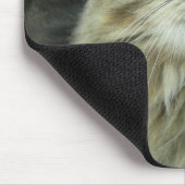 Maine Coon kitty Mousepad (Ecke)
