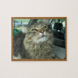 Maine Coon kitty Puzzle