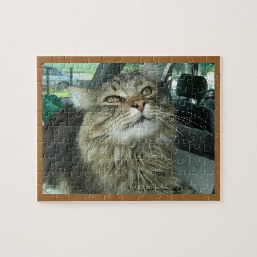 Maine Coon kitty Puzzle (Horizontal)