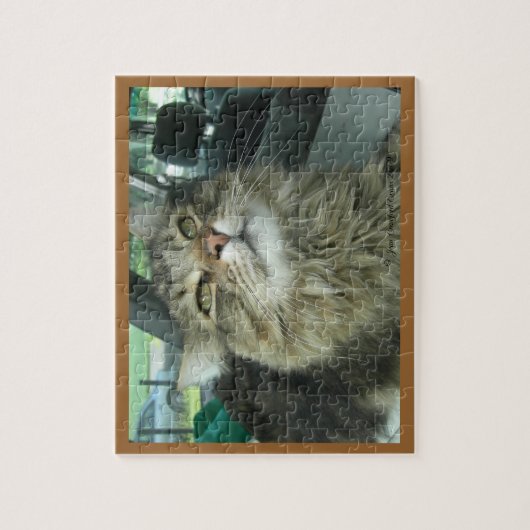 Maine Coon kitty Puzzle (Vertikal)