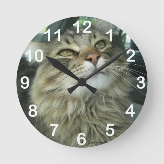 Maine Coon kitty Runde Wanduhr (Vorderseite)