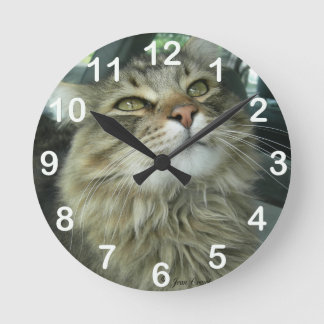 Maine Coon kitty Runde Wanduhr