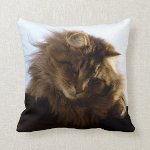 Maine Coon Long-haar Tabby Cat Kissen