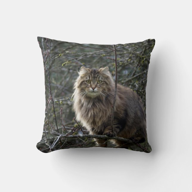 Maine Coon Long-haar Tabby Katze Tiertier Kissen (Vorderseite)