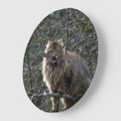 Maine Coon Long-hair Tabby Cat Animal Pet Clock Große Wanduhr (Winkel)