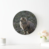 Maine Coon Long-hair Tabby Cat Animal Pet Clock Große Wanduhr (Zuhause)