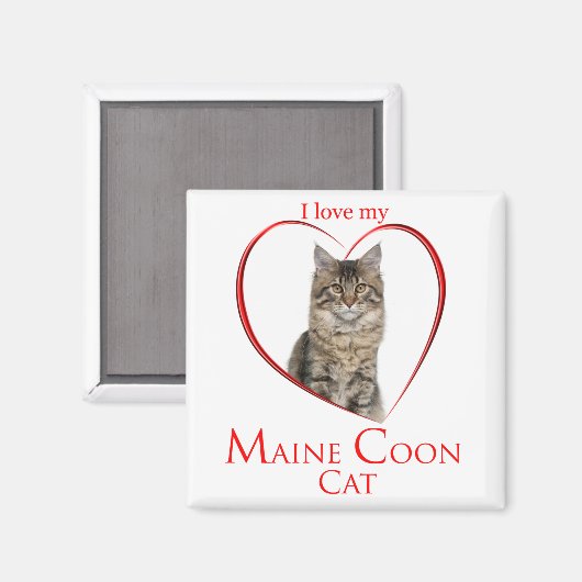 Maine Coon Magnet (Vorderseite/Rückseite)