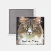 Maine Coon Magnet (Vorderseite/Rückseite)