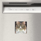 Maine Coon Magnet (In Situ (Geschirrspüler))