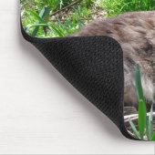 Maine Coon Mouse Pad Mousepad (Ecke)