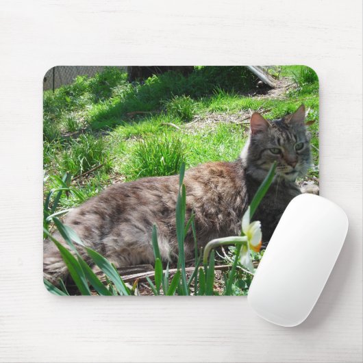 Maine Coon Mouse Pad Mousepad (Mit Mouse)