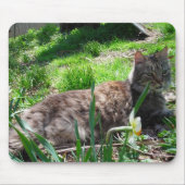 Maine Coon Mouse Pad Mousepad (Vorne)