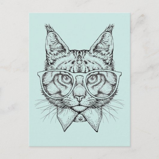 Maine Coon Portrait Postkarte (Vorderseite)